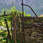 Ved Preikestolen * Forsand