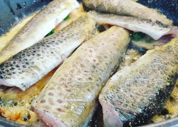 Lodge Preikestolen *