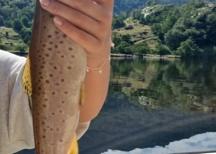 Preikestolen Lodge *