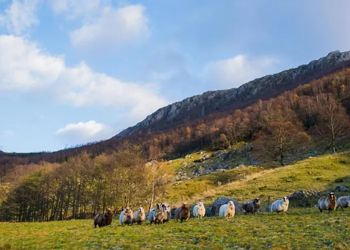 Chata Ved Preikestolen Forsand