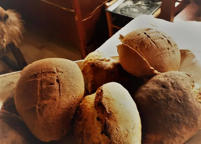 אכסניה Ved Preikestolen *