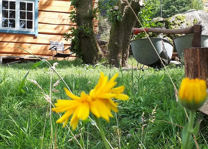 אכסניה Ved Preikestolen *