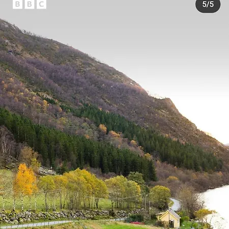 Ved Preikestolen