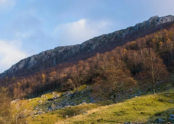 Ved Preikestolen Lodge